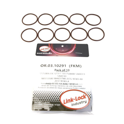 LINK-LOCK 10個入り OR.03.10291 FKMバイトン製シーリングOリングキット 燃料ポンプ用 71753806 03C127311 13517528408 12600313 12645181 9805133580 9844237980 2S7G-9E583-AA 2S7Z-9E583-A AA5E-9E583-A 0099975948