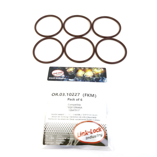 LINK-LOCK 6PCS OR.03.10227 FKM Viton Sealing O-Ring Kit of Fuel injection pump 5Q0129646A 12647917 For CHEVROLET-L5D L5P For GMC-L5D L5P For AUDI-CZPC DKZC CZPB CJXG DJHA For CADILLAC