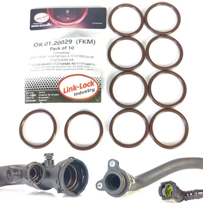 LINK-LOCK 10個 FKMバイトンOR.01.20029 エンジンクーラントパイプ/ウォーターホースOリング BMW MOST 11537581942-A 17127582924-AB 17127578399-AB BMW用 17127596837 17127596832 17127619684 17127578398 17127531579